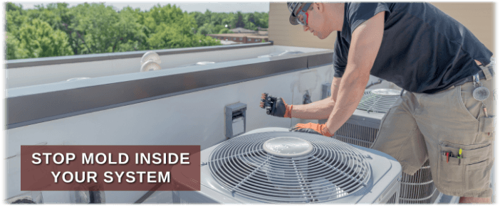 HVAC Mold Removal Glendale CA